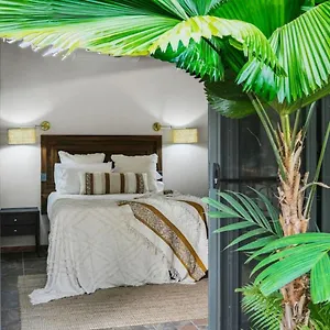 The Jade Pavilion Couples And Digital Nomads Holiday home Clifton Beach